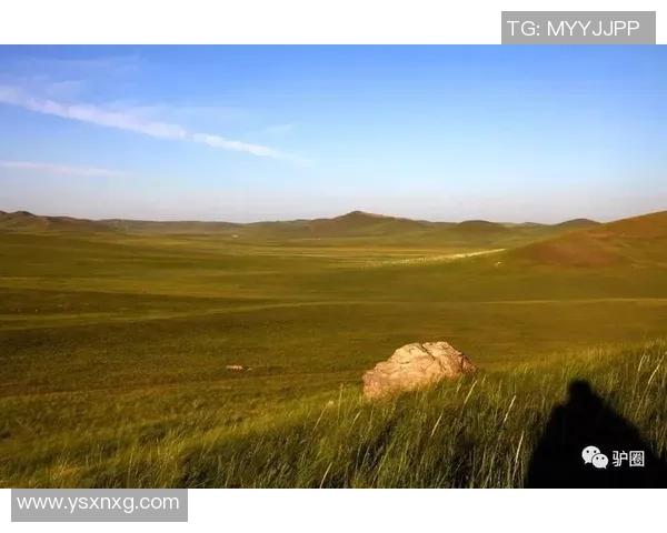 谢什科的传奇人生与不屈精神探讨:从足球场到人生舞台的启示